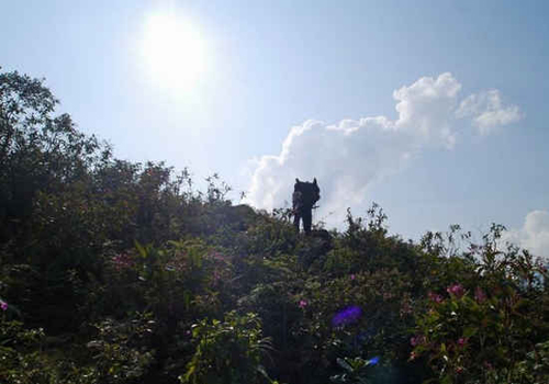 Biển mây trên đỉnh sừng trâu