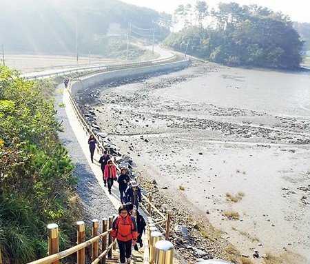 Con đường xanh tại Hàn Quốc