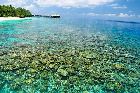 Hành trình khám phá đảo Coral Thái Lan