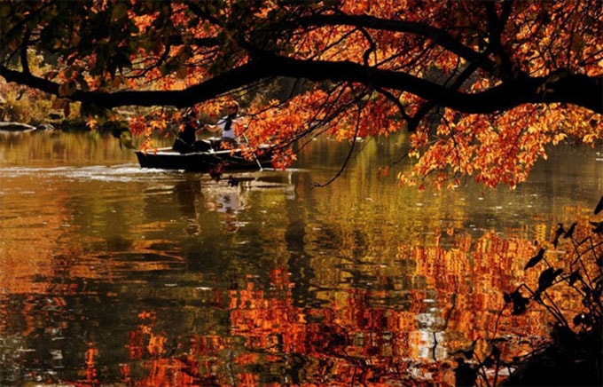 Ngắm thu vàng trên những cung đường ắp lá ở New York