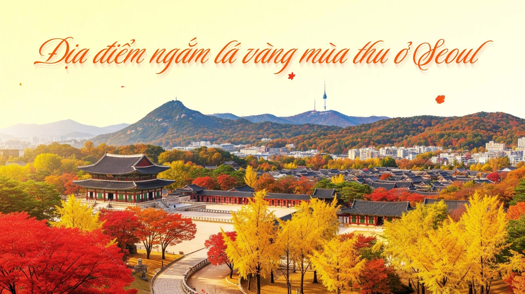 Địa điểm ngắm lá vàng mùa thu ở Seoul