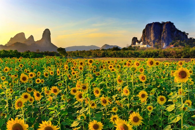 Những điểm đến trên cả đáng yêu ở Thái Lan