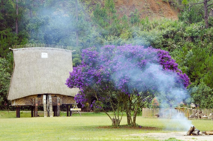 Làng Cù Lần đẹp như cổ tích giữa rừng thông