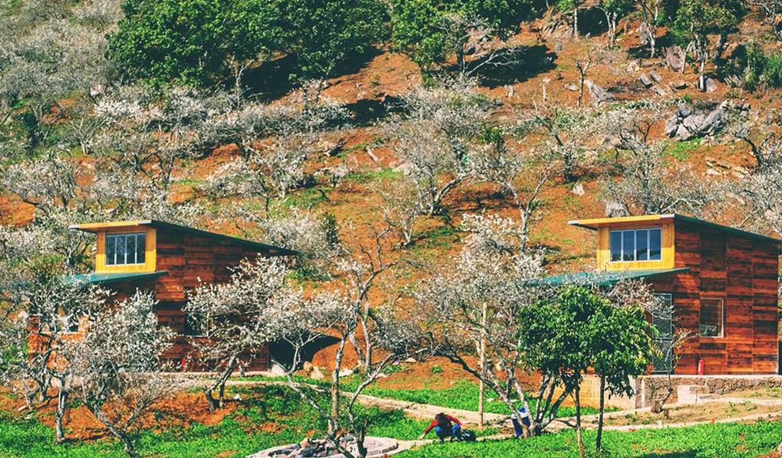 Cùng nhau trốn tại V House Mộc Châu để thả hồn theo chốn mộng mơ