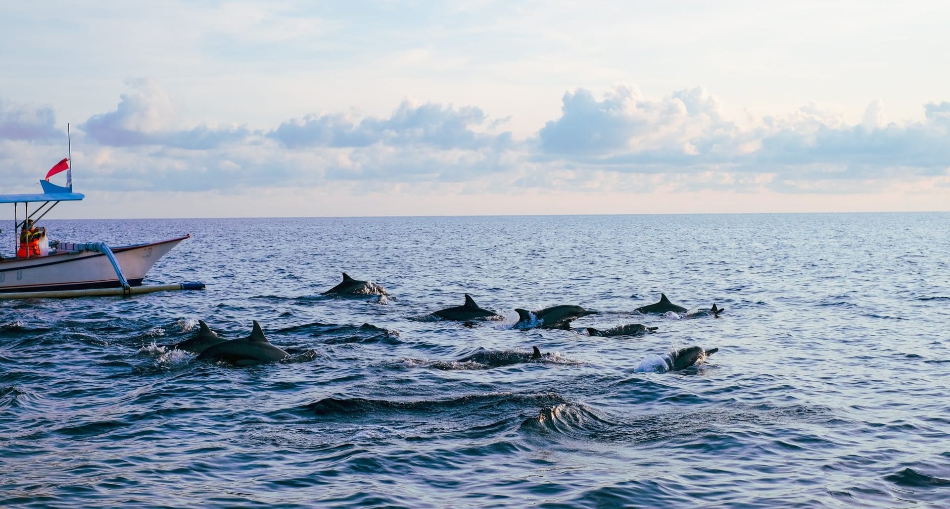 TRẢI NGHIỆM NGẮM CÁ HEO TRÊN BIỂN LOVINA