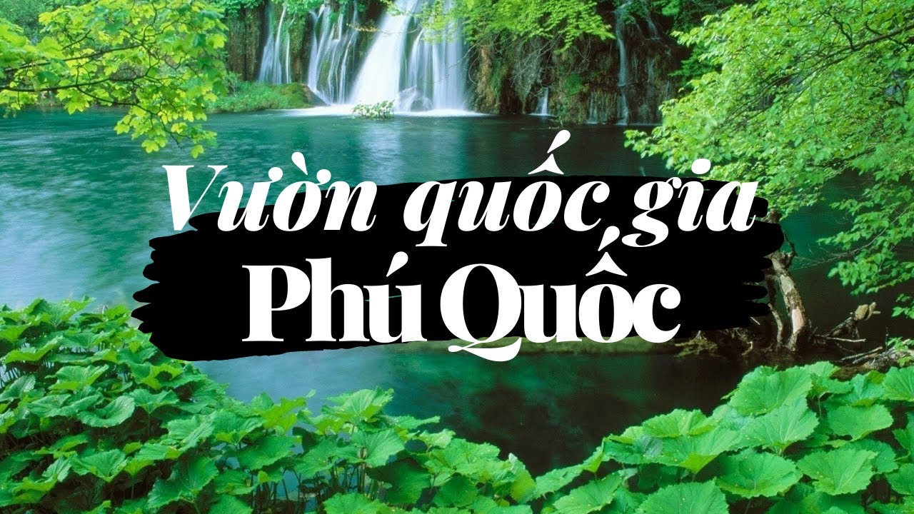 Tìm hiểu về vườn quốc gia Phú Quốc