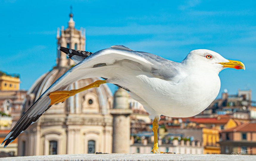 Vẻ đẹp trời Âu qua những khung ảnh của du học sinh Việt