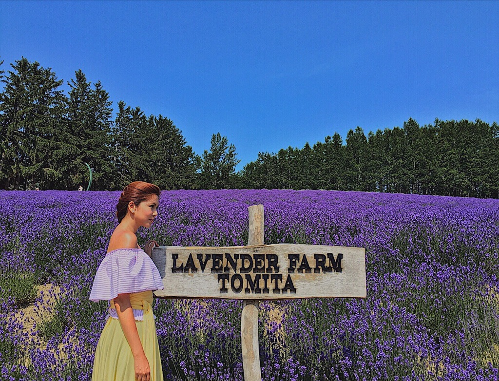 4 trang trại hoa oải hương nổi tiếng ở Hokkaido - Nhật Bản