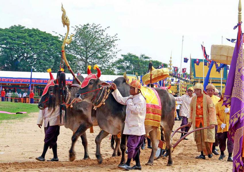 Lễ hội lấy ruộng Preah Neanng Korl - Nét văn hóa độc đáo của người Campuchia