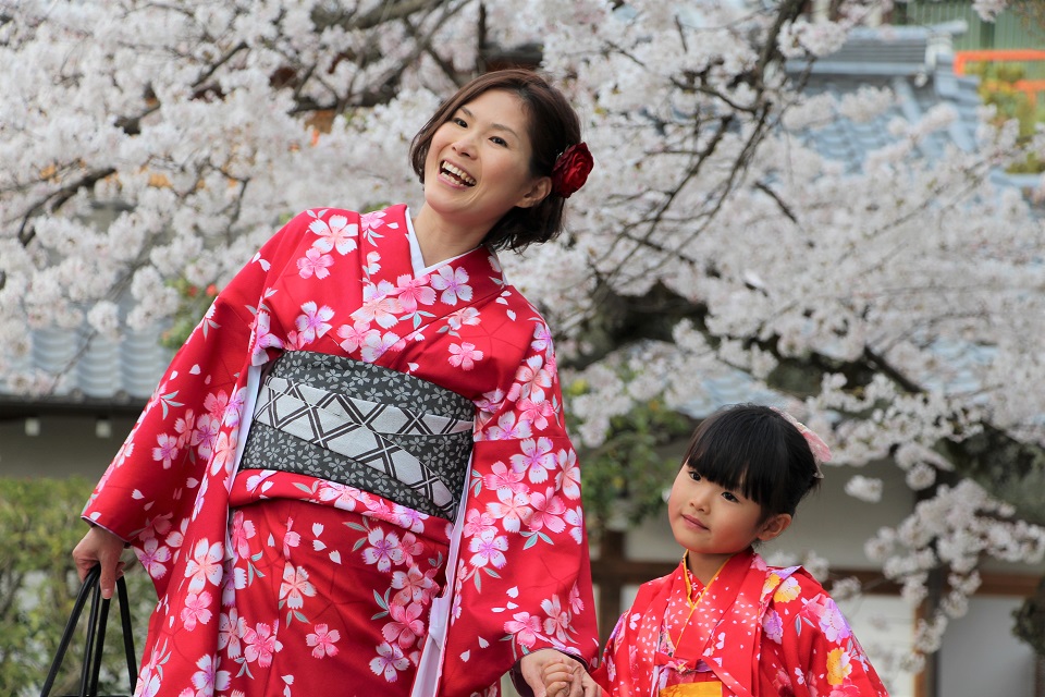 5 trải nghiệm cho du khách khi đến du lịch Nhật Bản mùa hoa anh đào