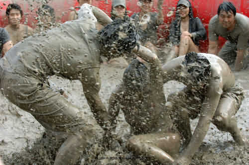 Vui hết mình cùng mùa hè Hàn Quốc