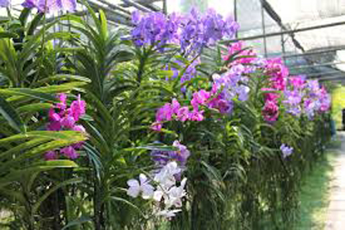 Những điều có thể bạn chưa biết về Singapore