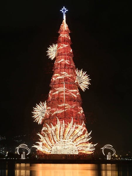 Chiêm ngưỡng những cây thông lạ nhất thế giới