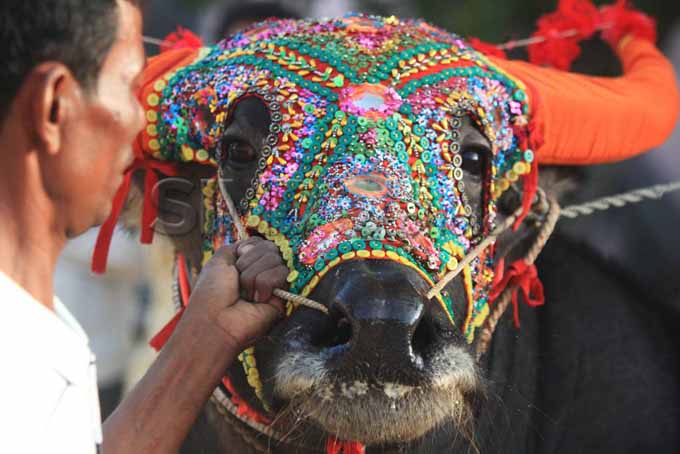 Độc đáo lễ hội Pchum Pen Campuchia