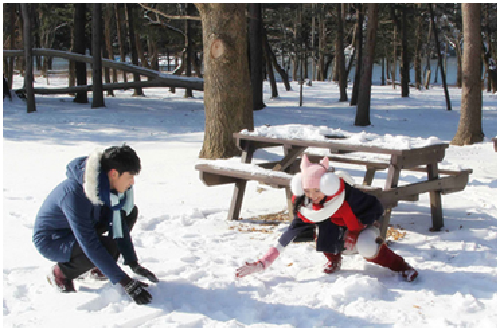 Trải nghiệm Trượt Tuyết Tại Hàn Quốc