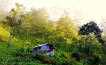 Ma Rừng Lữ Quán bình yên giữa núi rừng Đà Lạt