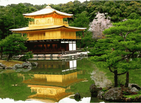 Du lịch Nhật Bản cùng nghiêng ngả với chùa Vàng