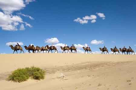 Theo dấu tích khủng long trên sa mạc Gobi