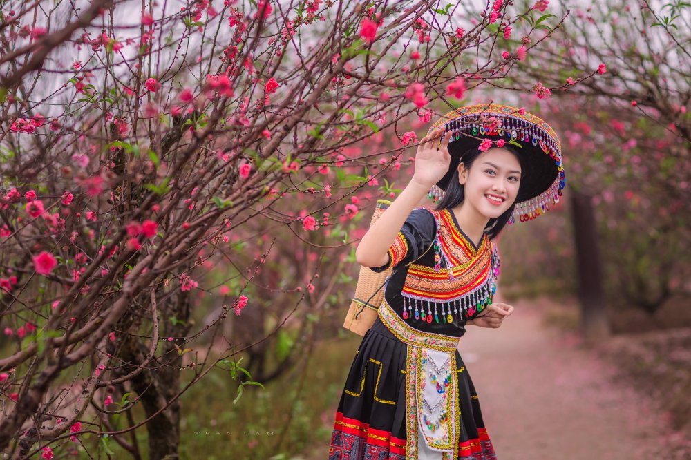 Khám phá Mộc Châu với hàng loạt loại hoa nở báo hiệu mùa xuân về