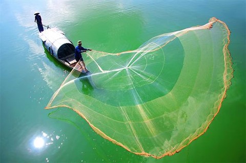 Du lịch Mỹ Tho – Bến Tre - Phiêu du trên cồn Phụng