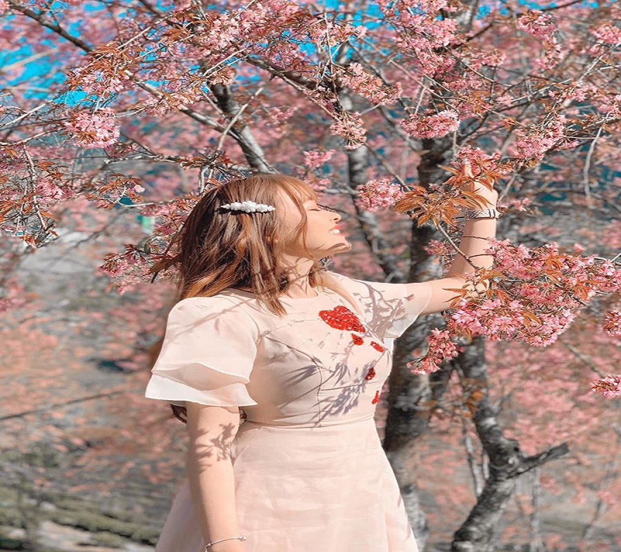 Ngất ngây với mùa hoa đào nở rộ ở Sapa say đắm lòng người