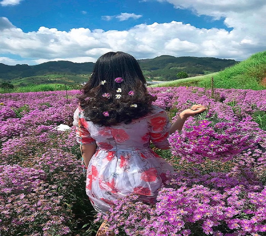 Du lịch Đà Lạt tháng 11 ngẩn ngơ trước các đóa hoa rực rỡ sắc màu