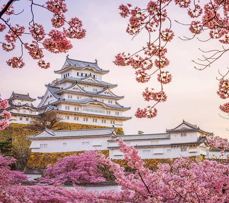 Chiêm ngưỡng Himeji - Lâu đài Hạc Trắng trăm tuổi ở Nhật Bản