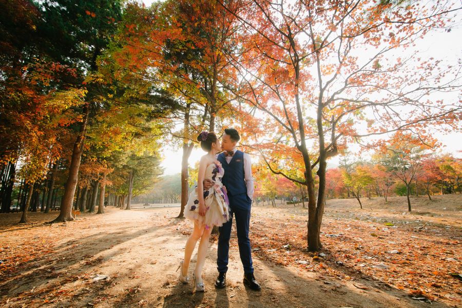 Mùa thu yên bình trên đảo Nami khiến bao người xao xuyến