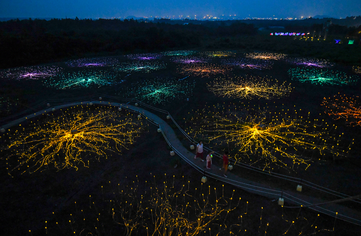 Bất ngờ với cánh đồng ánh sáng rộng 100.000 m2 ở Hàn Quốc