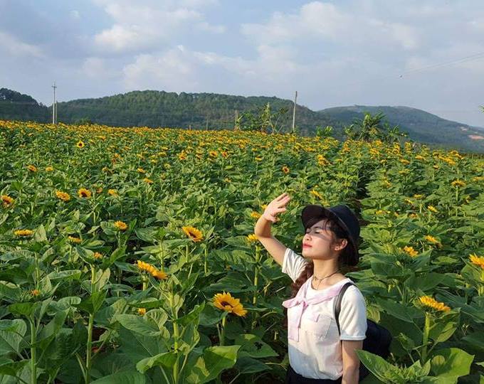 Du lịch Đà Lạt - Ghé thăm những vườn hoa tuyệt đẹp nơi đây