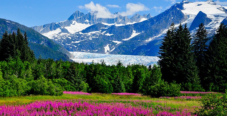 Top 5 địa điểm hấp dẫn khi du lịch đến Alaska - Mỹ