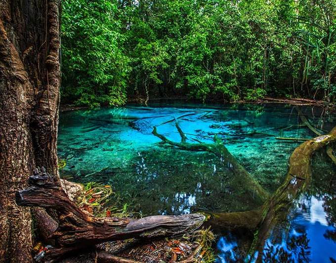 Những trải nghiệm về văn hóa và du lịch Thái Lan