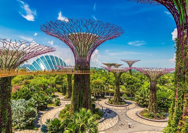 Khám phá khu vườn thực vật Gardens By The Bay