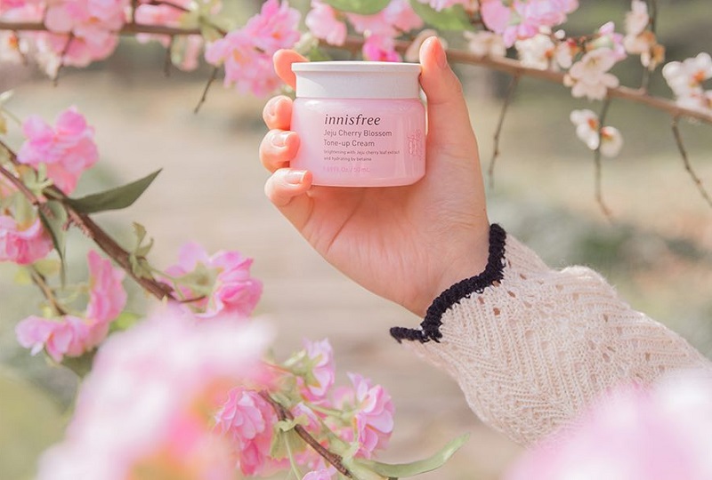 10 điều thú vị có thể bạn chưa biết về mùa hoa anh đào tại Nhật Bản