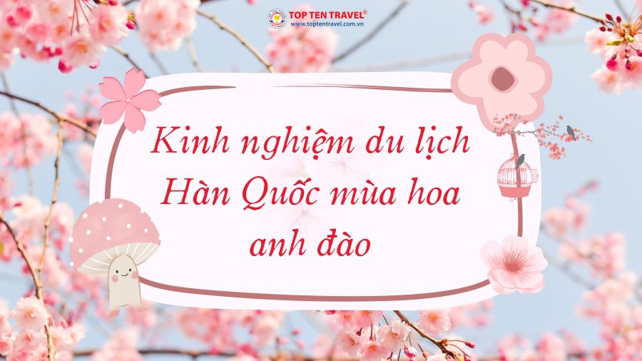 Bỏ túi kinh nghiệm du lịch Hàn Quốc mùa hoa Anh đào