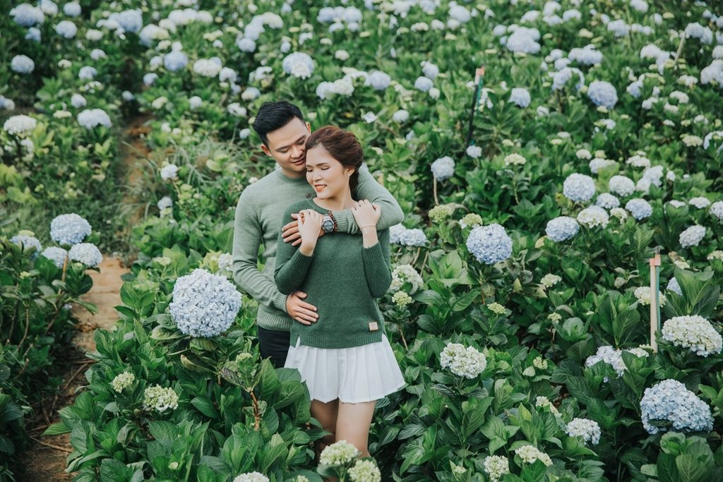 Đà Lạt mùa xuân có gì hấp dẫn? Khách du lịch nên đi đâu?