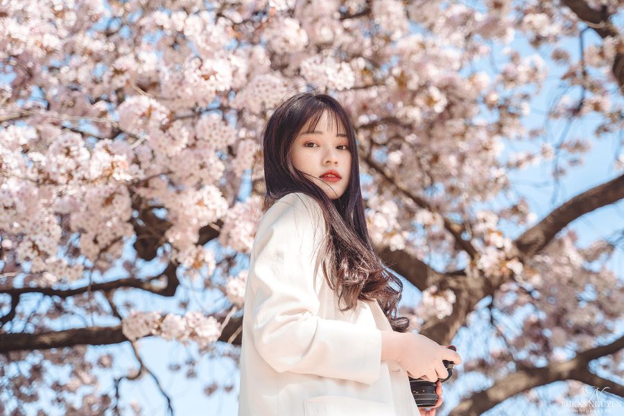 Mùa xuân ở nước Pháp có gì hấp dẫn du khách? Khám phá ngay