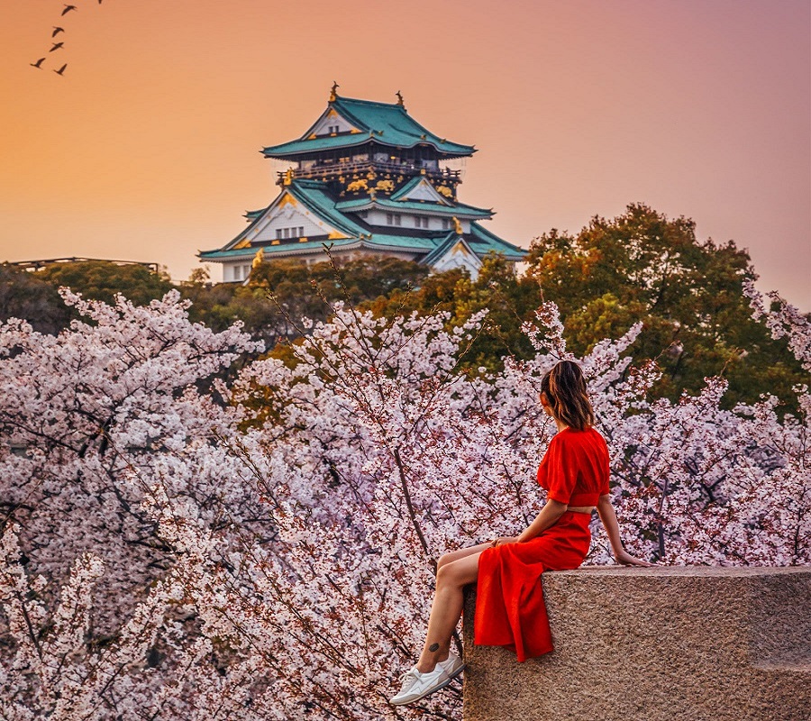 7 địa điểm ngắm hoa anh đào đẹp nhất tại đất nước Nhật Bản