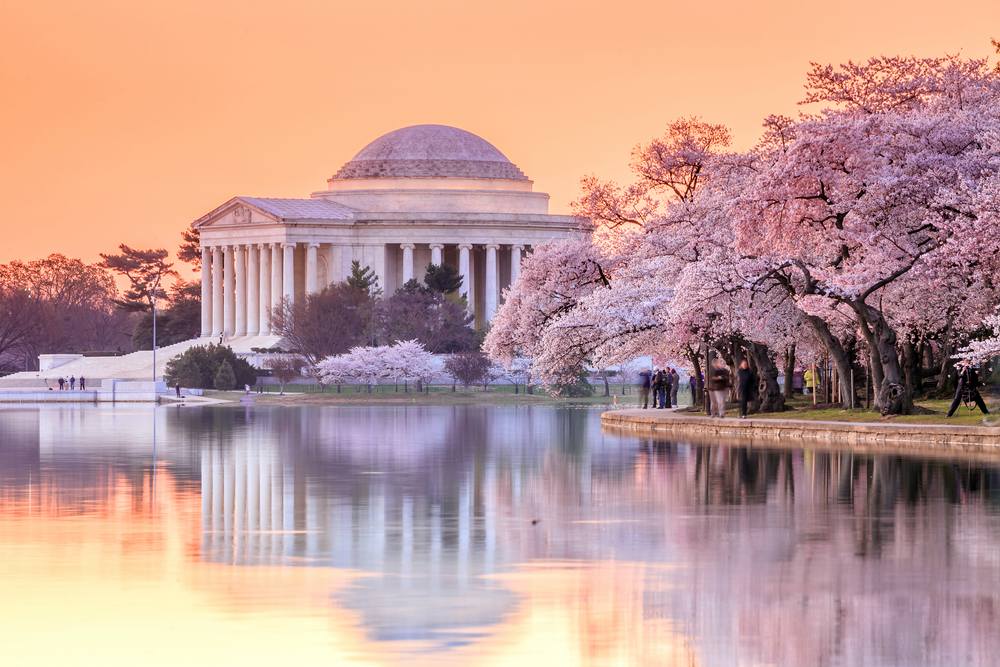 Có 1 mùa xuân nước Mỹ đẹp đến nao lòng
