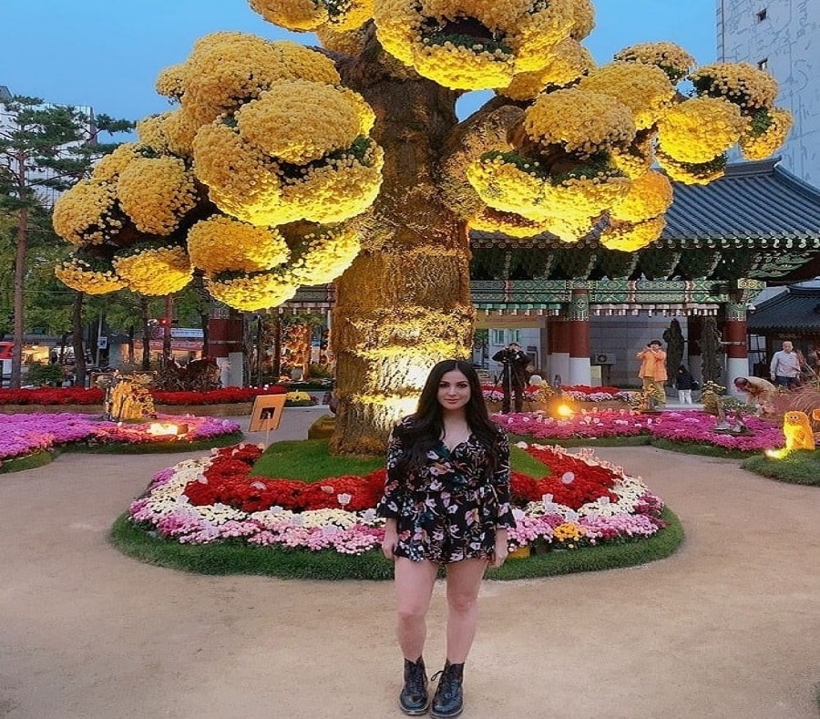 Chùa Jogyesa - Địa điểm du lịch tâm linh nổi tiếng ở đất nước Hàn Quốc