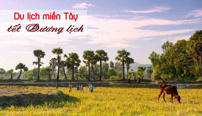 Kinh nghiệm du lịch miền Tây Tết dương lịch 2020