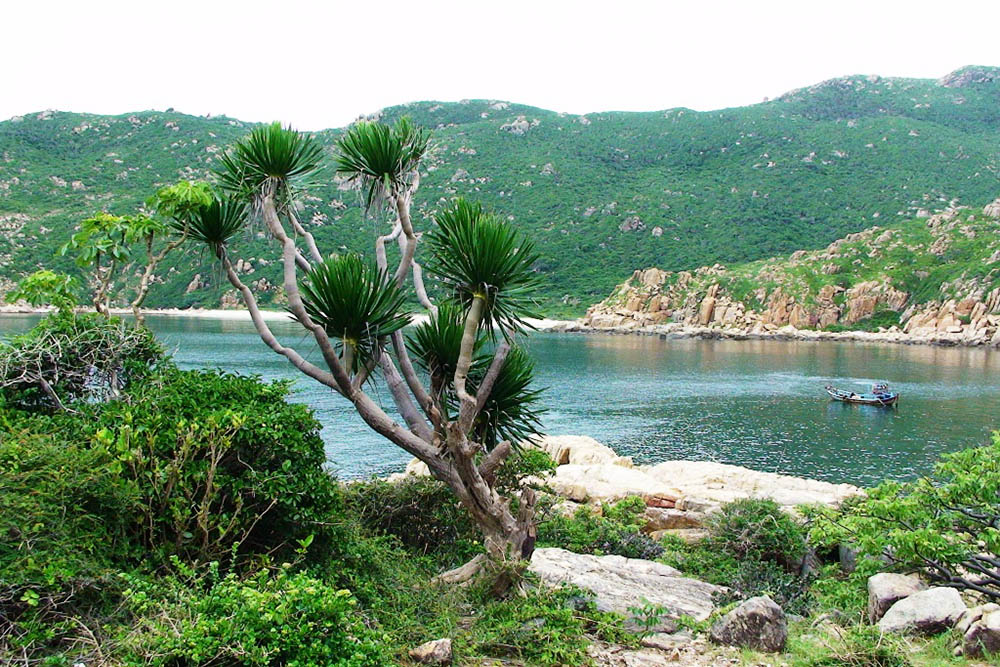 Đôi điều thú vị về vùng đất Ninh Thuận