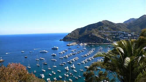 Du lịch Mỹ: Một ngày bình yên trên đảo Catalina