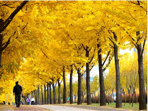 Lựa chọn cho chuyến du lịch trăng mật ngọt ngào