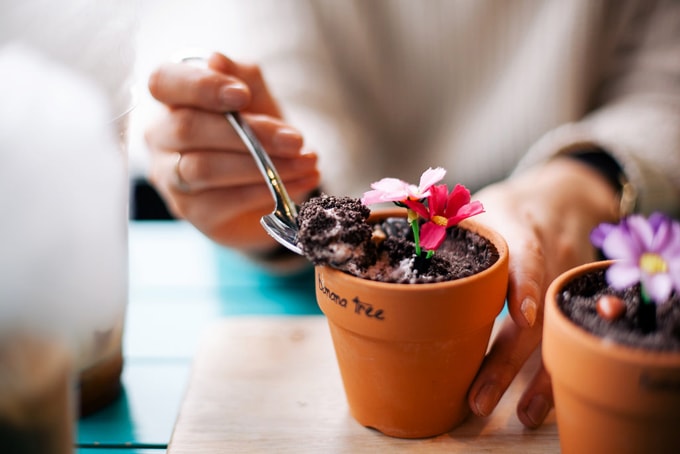 Những quán cà phê dễ thương ở Seoul