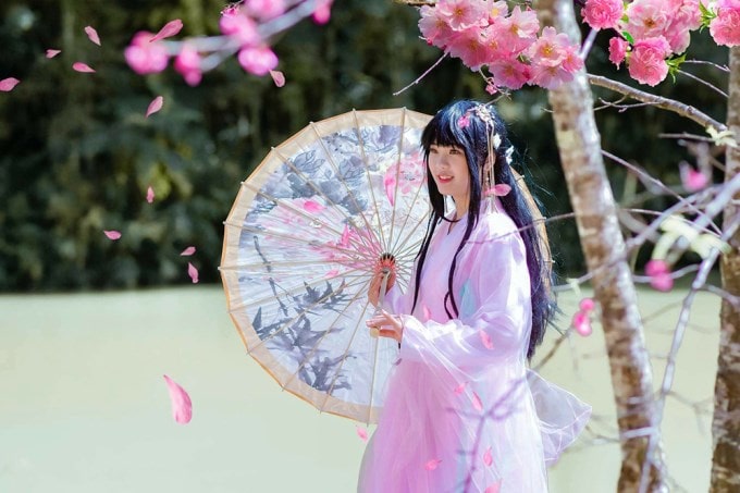 Hoa mai anh đào nhuộm hồng thành phố Đà Lạt