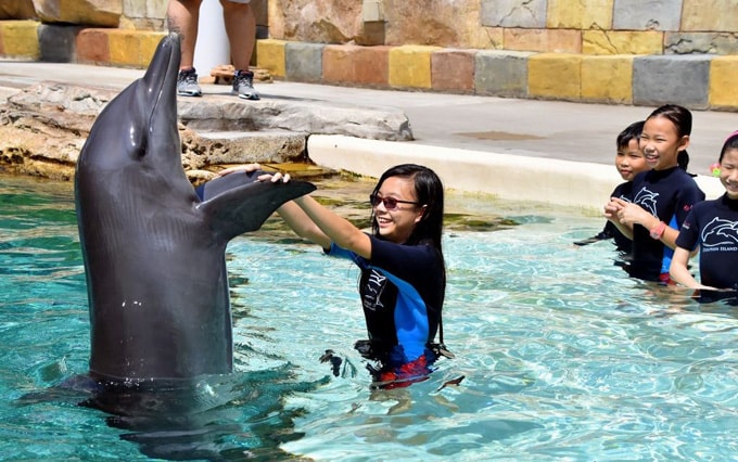 Vui đùa cùng với cá heo ở Resorts World Sentosa Singapore