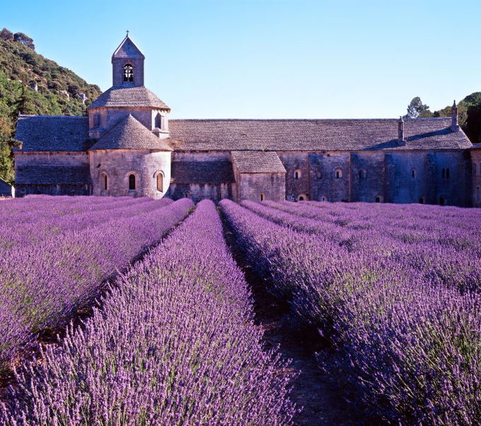 Top 10 điểm du lịch đẹp nhất vùng Provence - Pháp