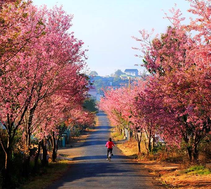 Lễ 2/9 nên đi đâu chơi
