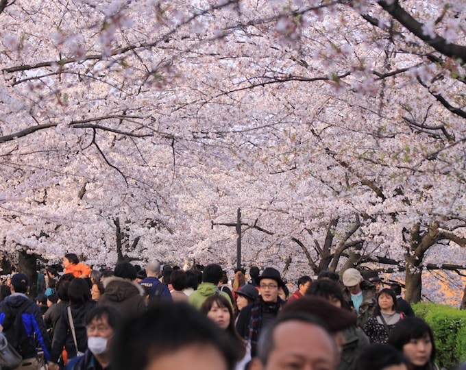 Những công viên đô thị đẹp nhất trên thế giới